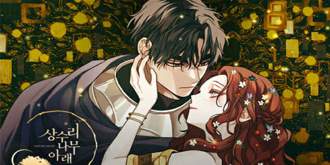 5195_cover