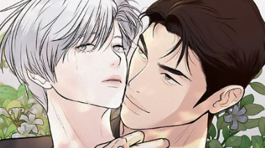 11181_cover